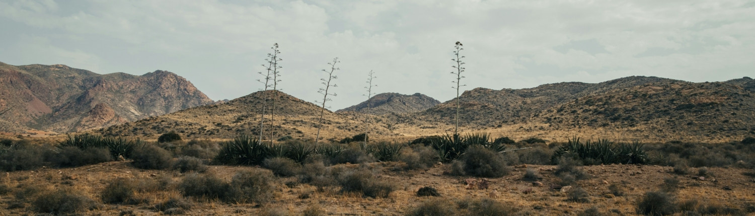 shana-van-roosbroek-_Fej3G_26C8-unsplash